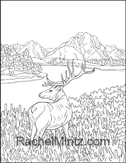 Great Outdoors Landscapes, PDF Coloring Book: Wild Nature, Grand Canyon, Mountains, Desert Wilderness and Wildlife