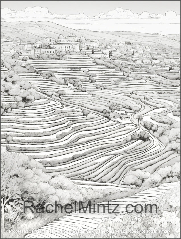 Serene Horizons - Relaxing Grayscale Landscapes Coloring Book, Rural, Mediterranean, Meadows (Digital PDF Book)