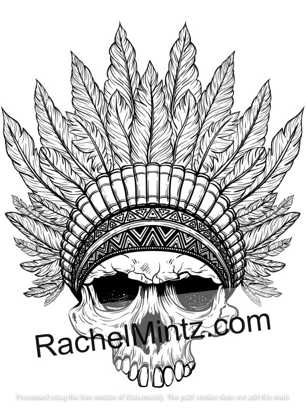 The Chief Of Skulls Coloring (PDF Book) - 30 Native American Skulls With Headdress