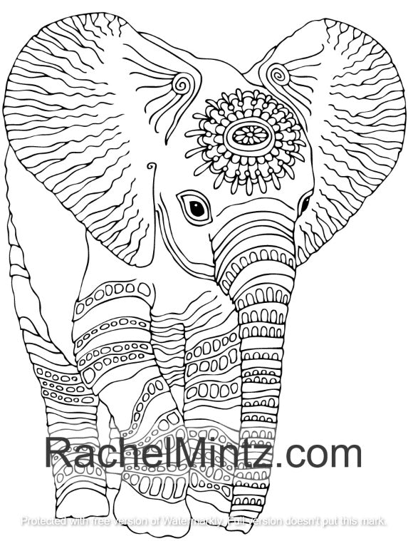 100 Animals - Huge Collection of Wildlife, Birds, Marine Life - PDF Coloring Book