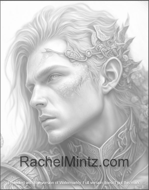 The Elf of Paladin - Warrior Coloring Page (PDF)