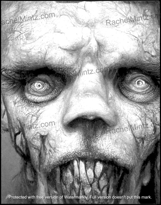 Freak Faces Nightmare - Gruesome Horror Grayscale, Monsters & Zombies (Digital PDF Book) by Rachel Mintz