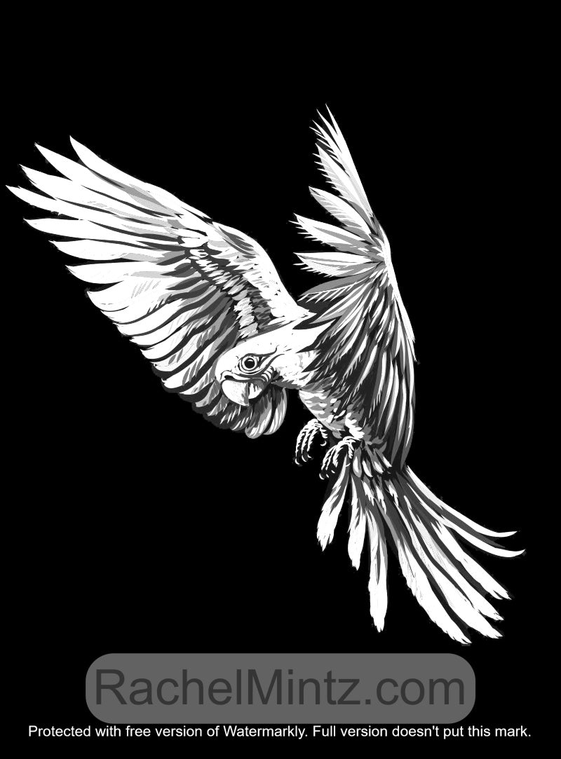 Wild Nature - Grayscale Art, Black Background Coloring (PDF Book)