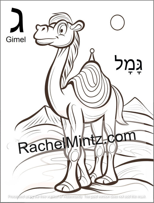 Hebrew Letters Coloring Book - Alef Bet Tracing & Practice for Kids (Printable PDF Book) - A black and white coloring page featuring a cartoon camel with the Hebrew letter 'Gimel' ('צ') and its transliteration on a white background, with a watermark 'RachelMintz.com' across the center.