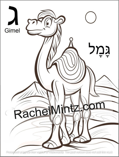 Hebrew Letters Coloring Book - Alef Bet Tracing & Practice for Kids (Printable PDF Book) - A black and white coloring page featuring a cartoon camel with the Hebrew letter 'Gimel' ('צ') and its transliteration on a white background, with a watermark 'RachelMintz.com' across the center.