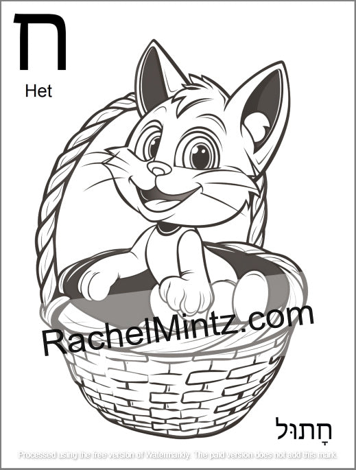 Hebrew Letters Coloring Book - Alef Bet Tracing & Practice for Kids (Printable PDF Book) - Black and white coloring page featuring the Hebrew letter 'Het' with a cartoon cat sitting in a basket. The page includes the Hebrew letter, the English name 'Het', a watermark 'RachelMintz.
