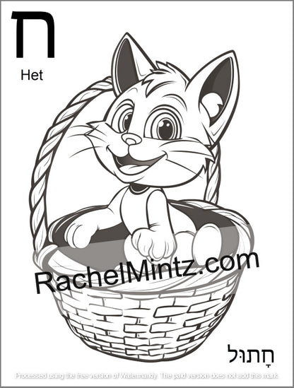 Hebrew Letters Coloring Book - Alef Bet Tracing & Practice for Kids (Printable PDF Book) - Black and white coloring page featuring the Hebrew letter 'Het' with a cartoon cat sitting in a basket. The page includes the Hebrew letter, the English name 'Het', a watermark 'RachelMintz.