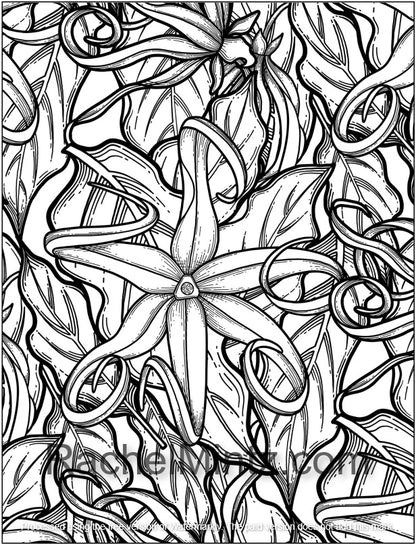 Flowers Paradise - PDF Coloring Book