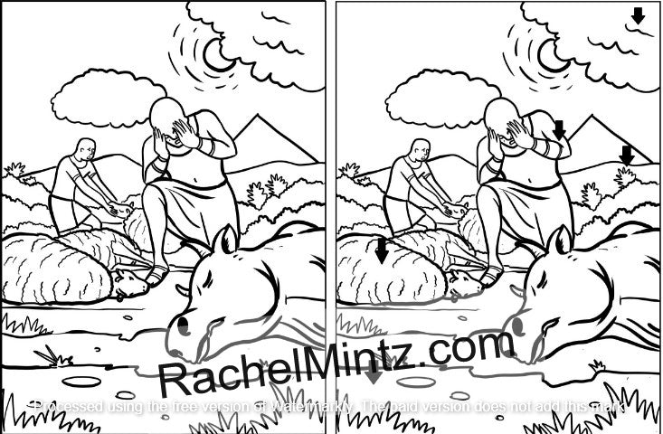 Passover Spot The Difference - Fun Activity Pages For Kids - Seder, St ...