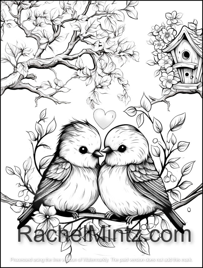 Love Birds Valentine’s Day Coloring Book, Whimsical Birds & Romantic Winged Couples (Printable PDF Book)
