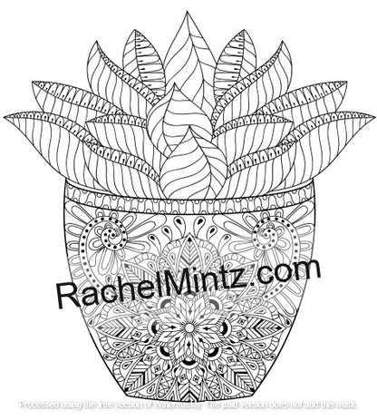 succulent coloring pages Spines