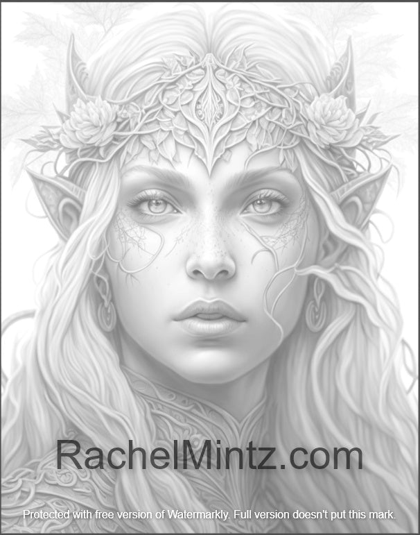 The Elf of Paladin - Elf Queen Coloring Page (PDF)