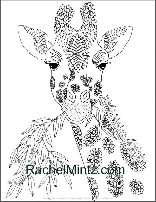 Adorable Giraffes Coloring Page