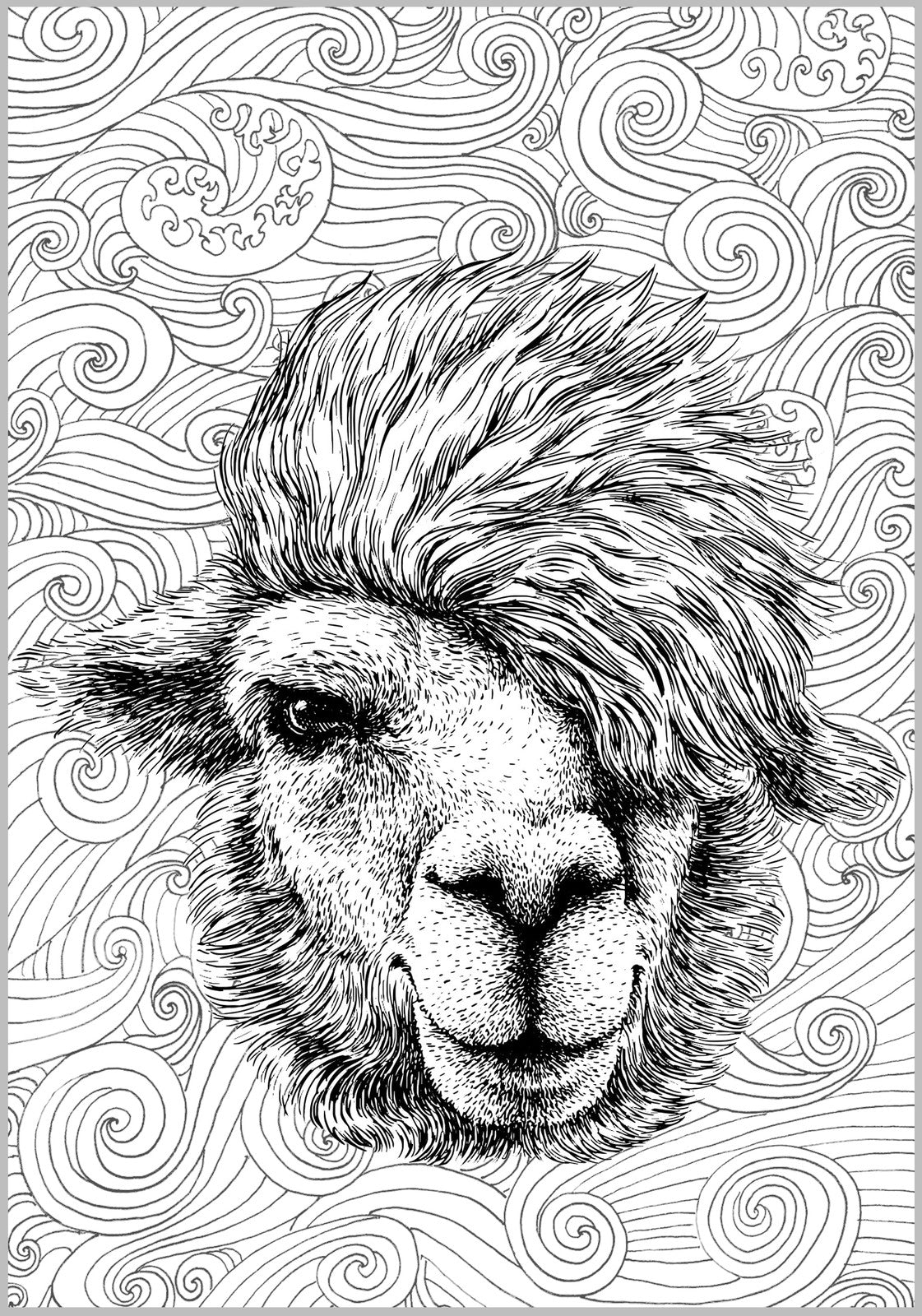 Alpaca & Llama Cool Collection Coloring Book For Adults Rachel Mintz