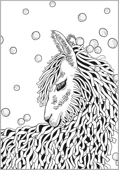 Alpaca & Llama Cool Collection Coloring Book For Adults Rachel Mintz