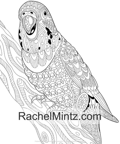 Colorful Parrots - Tropical Birds PDF Coloring Book For Adults