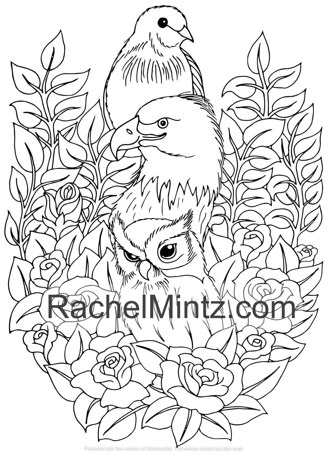 Cuddles & Hugs - Lovely Optimistic Floral Scenes Fairies and Animals, Printable Coloring Book