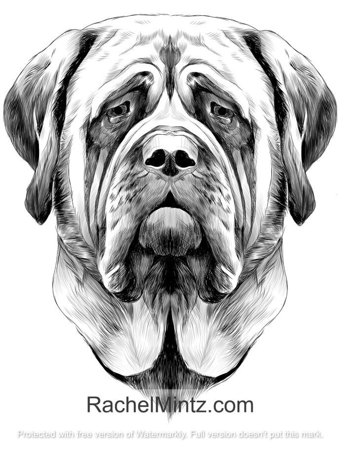 30 Dog Portraits - Woof-Woof Buddy - PDF Grayscale Coloring Book