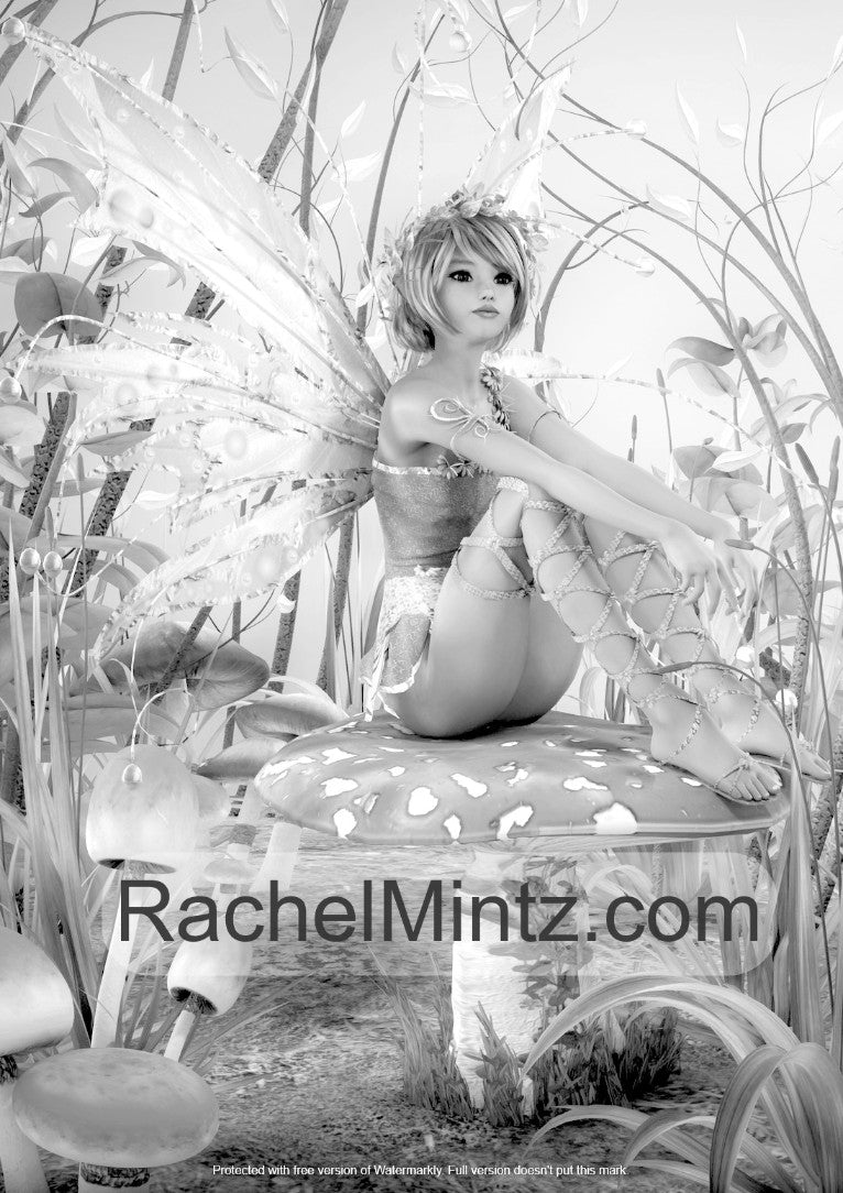 Fantasy Fairies - Amazing Enchanted Fairy Beauty Girls - Rachel Mintz Printable Format Book