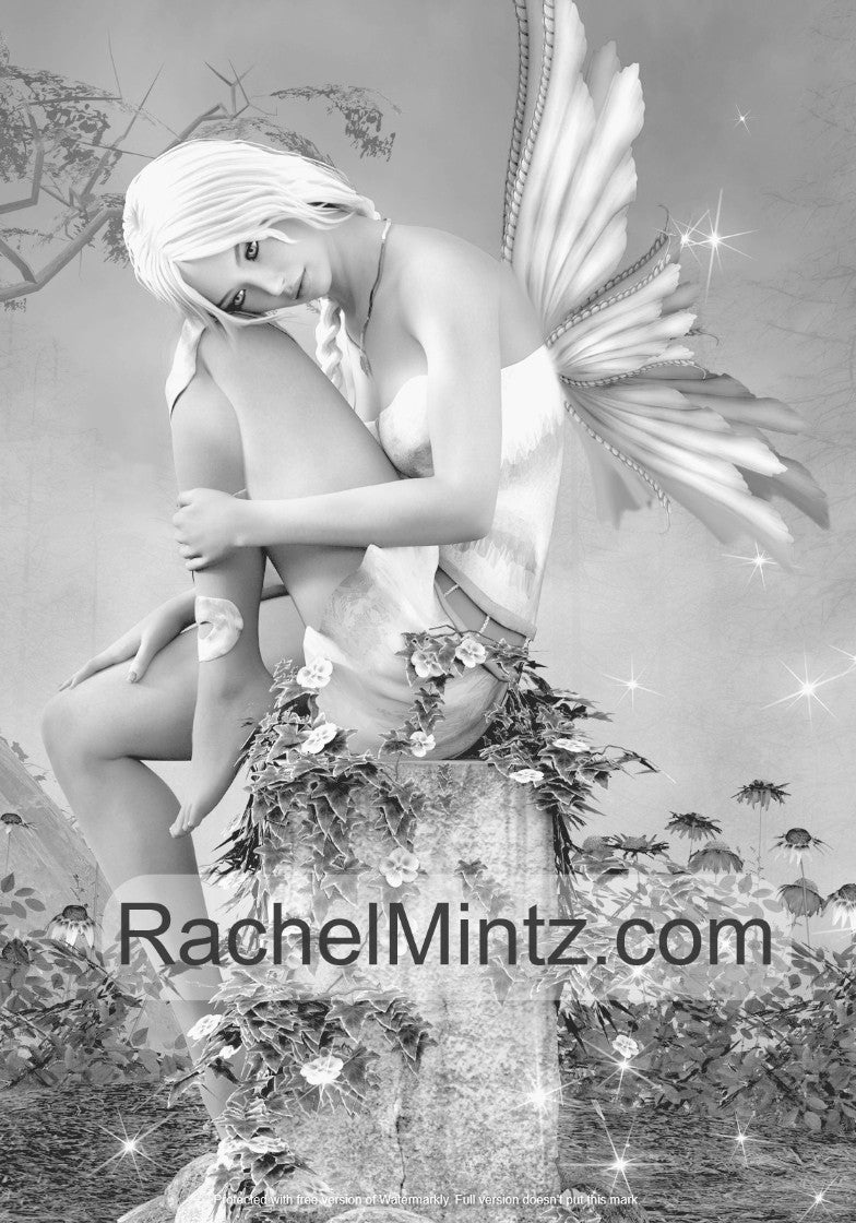 Fantasy Fairies - Amazing Enchanted Fairy Beauty Girls - Rachel Mintz Printable Format Book