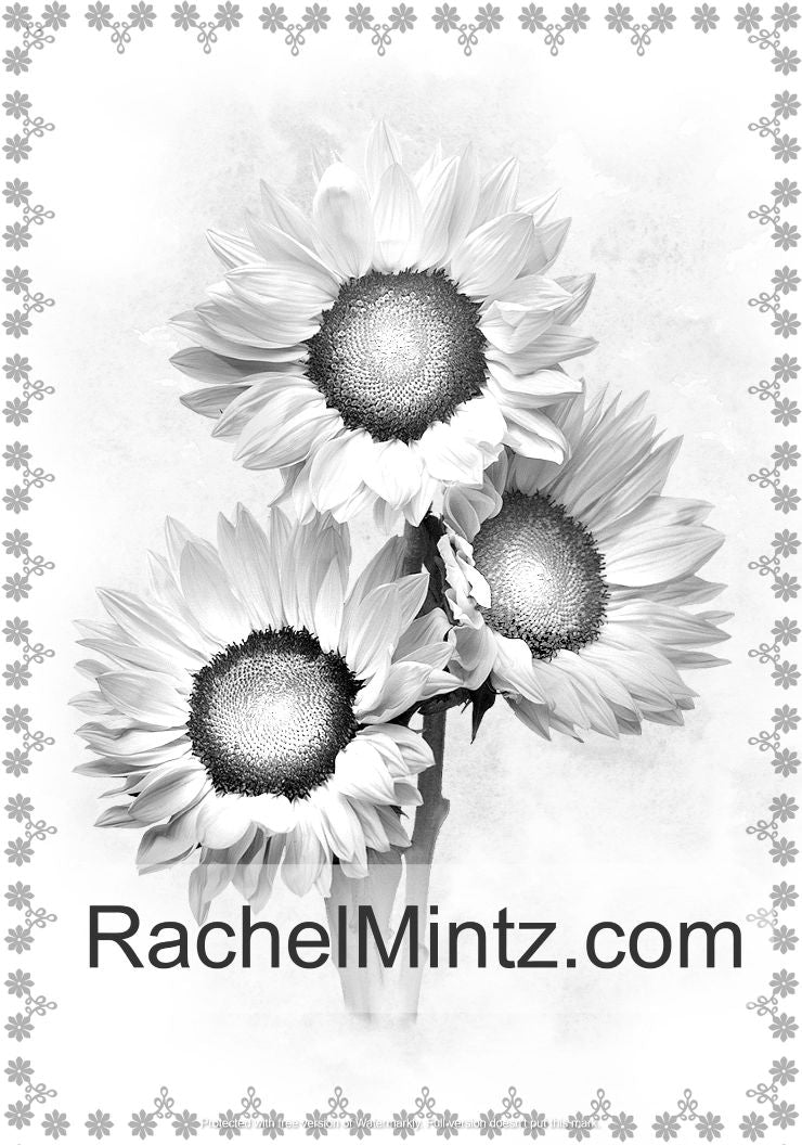 Flowers - Vintage Grayscale Art With 33 Floral Designs and Garden Flowers (Digital Coloring Book) Rachel Mintz
