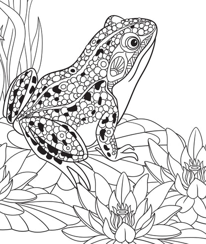 Frogs - Delightful & Decorative Frogs & Toads, PDF Coloring Book