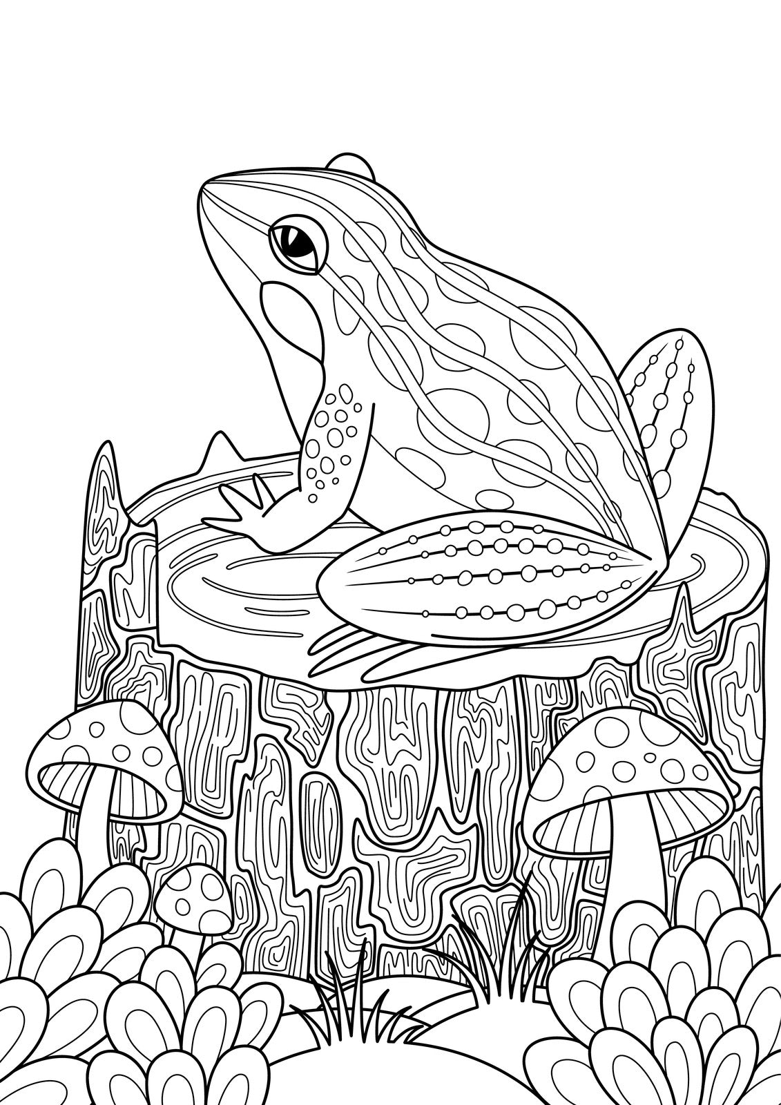 Frogs - Delightful & Decorative Frogs & Toads, PDF Coloring Book
