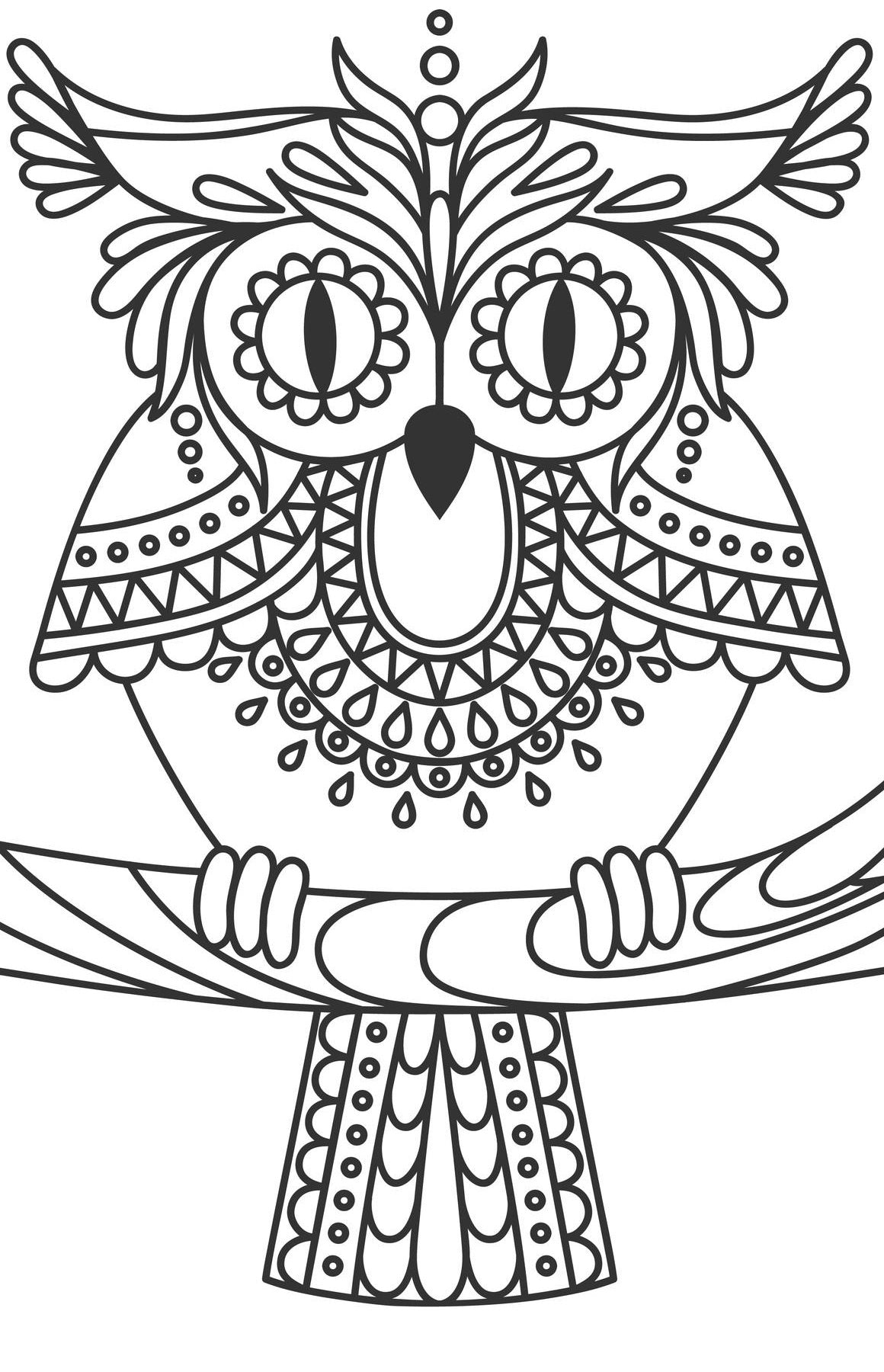 Large Print OWLS PDF Coloring Book For Beginners, Seniors or Visually Impaired