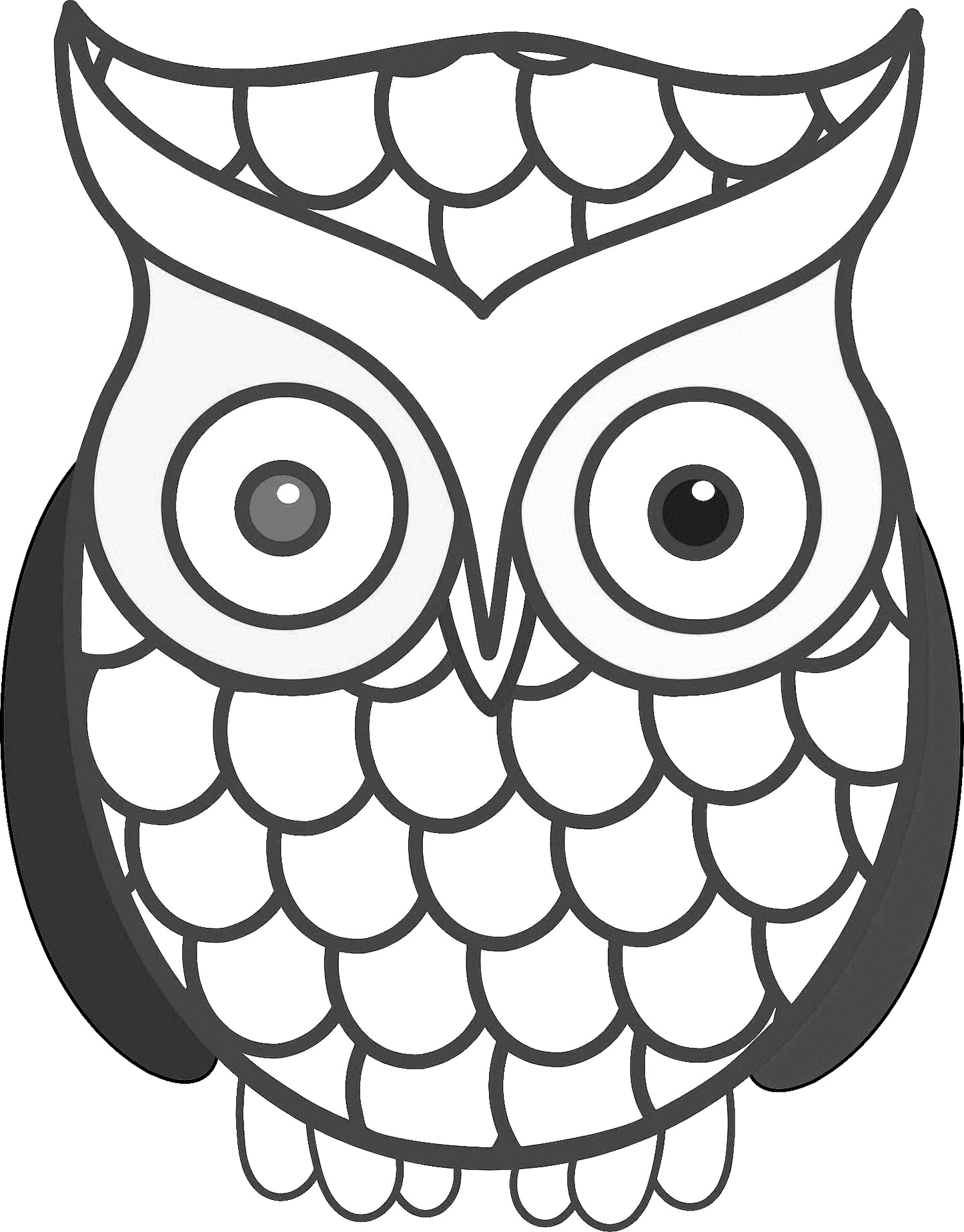 Large Print OWLS PDF Coloring Book For Beginners, Seniors or Visually Impaired