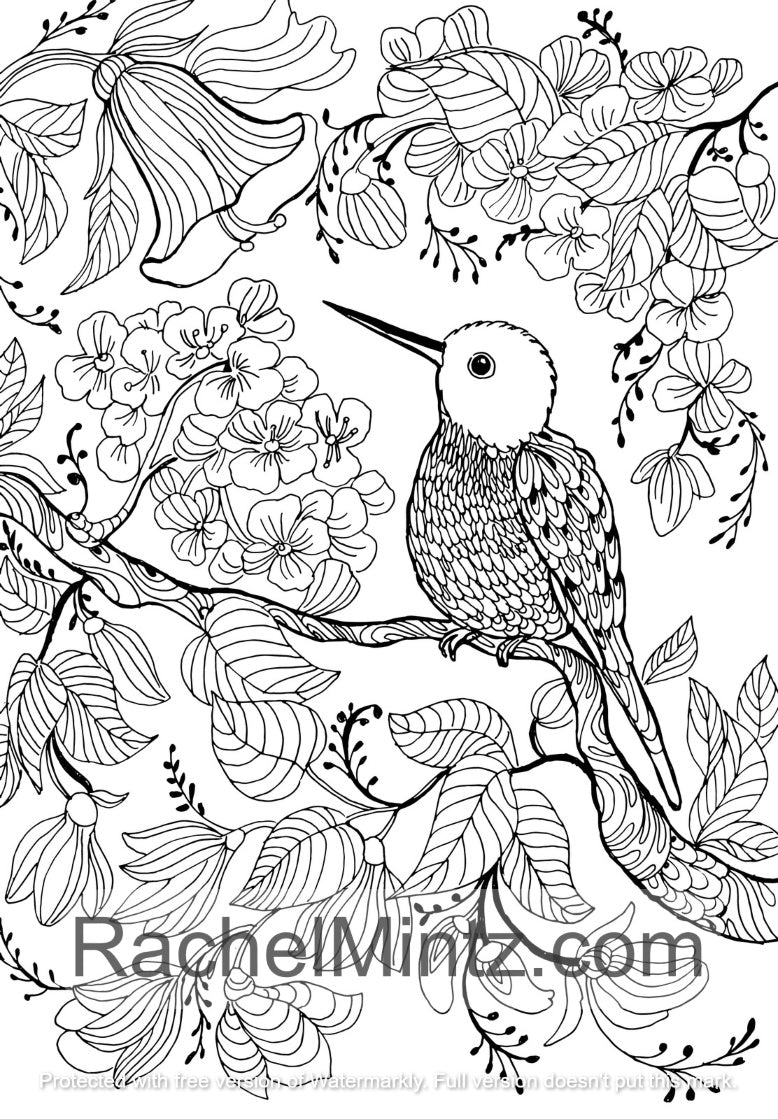 Melodies - Garden & Forest Birds PDF Coloring Book For Adults