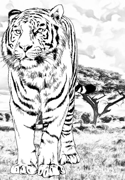 Mighty Tigers Coloring (PDF Book) With 30 Pages of Leaping, Roaring Tigers