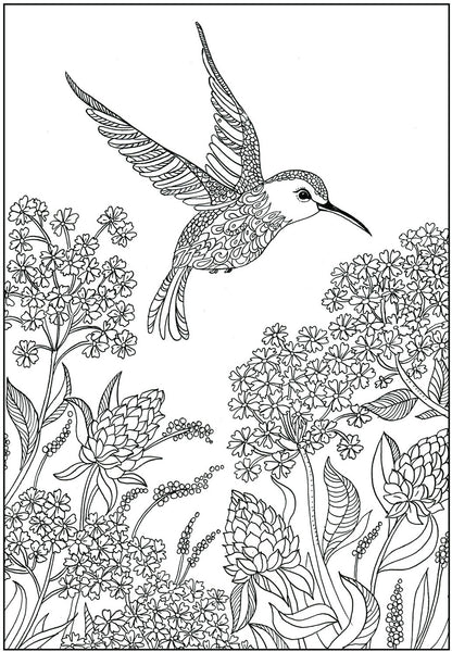 ​ Nectar Hummingbirds - Beautiful Colibri Birds, Flowers and Floral Decorated Pages - PDF Format Coloring Book