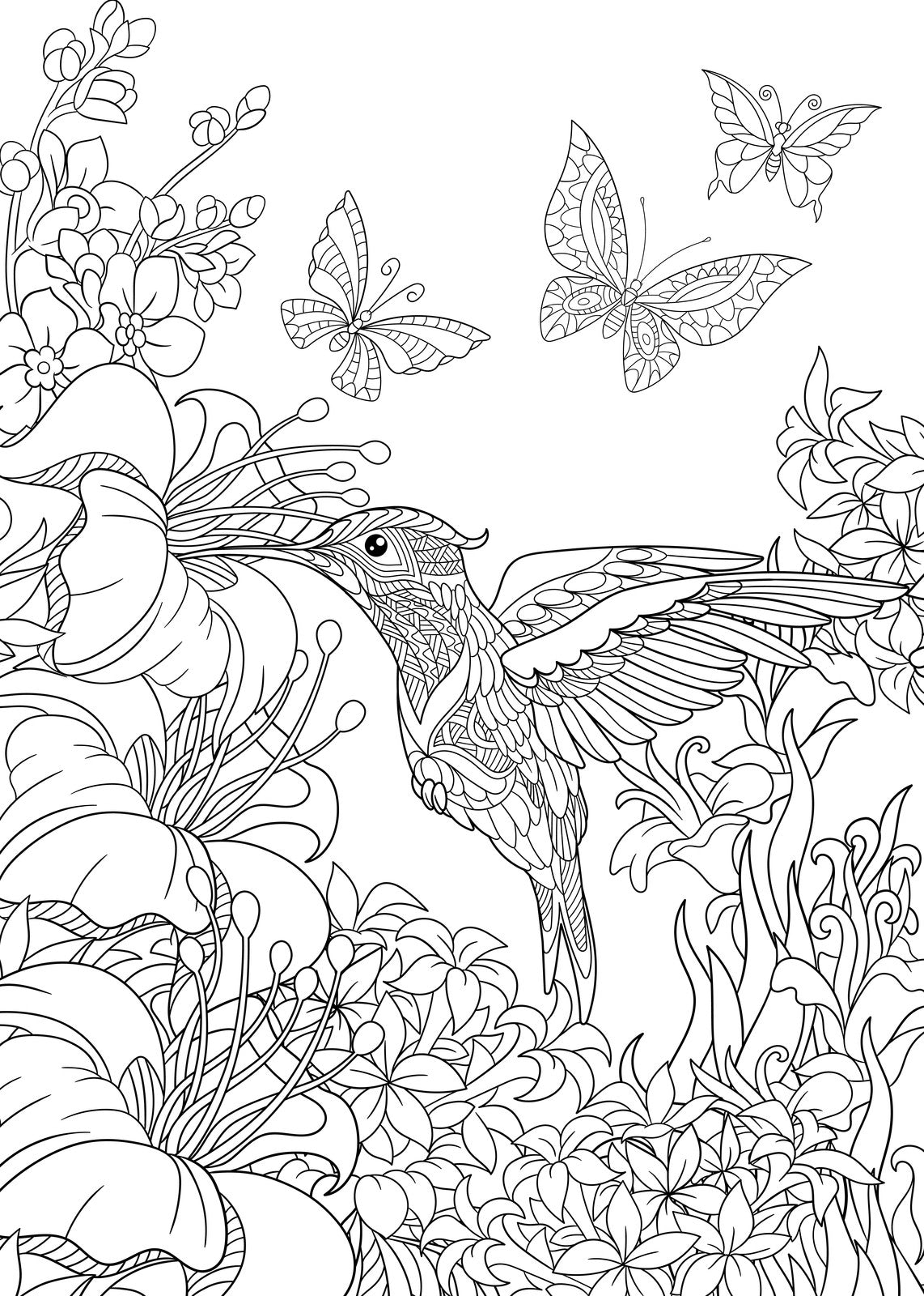 ​ Nectar Hummingbirds - Beautiful Colibri Birds, Flowers and Floral Decorated Pages - PDF Format Coloring Book