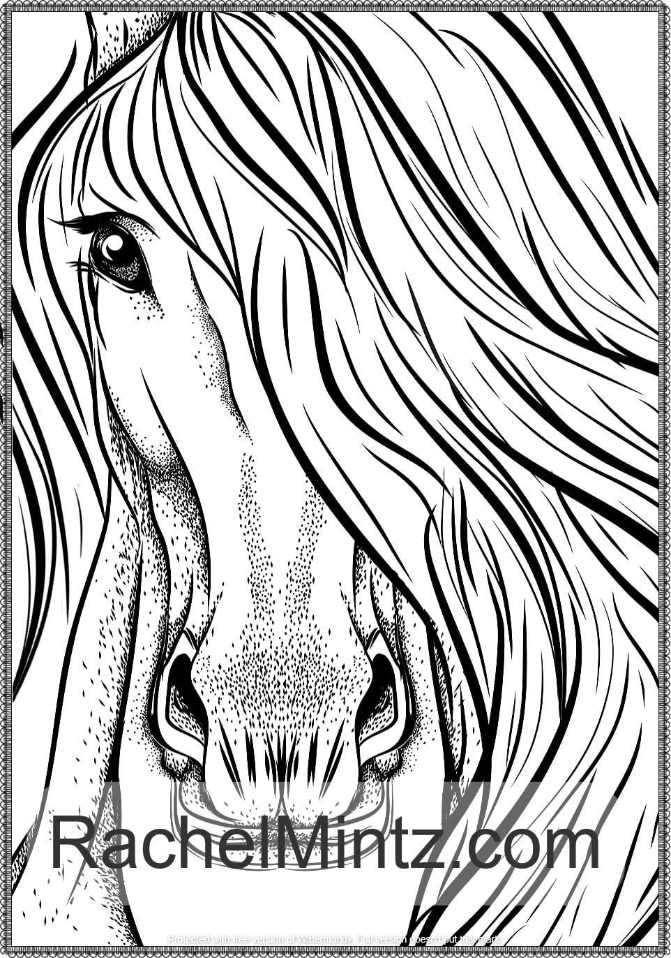 Noble Horses - Beautiful Detailed Sketches of Horses, Horse Mains in Decorated Pattern, PDF Coloring Books