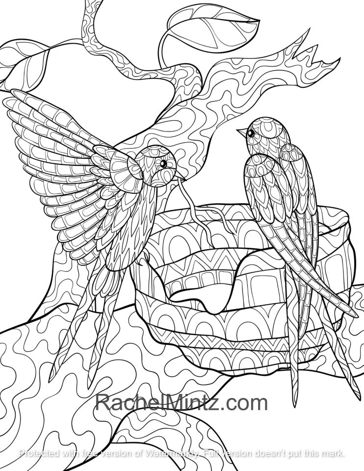 Paradise Birds - Adults Coloring Book, Hummingbirds, Tropical Birds, Anti Stress Patterns (Digital PDF Book)