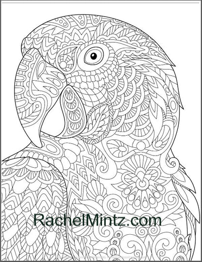 Colorful Parrots Coloring Page