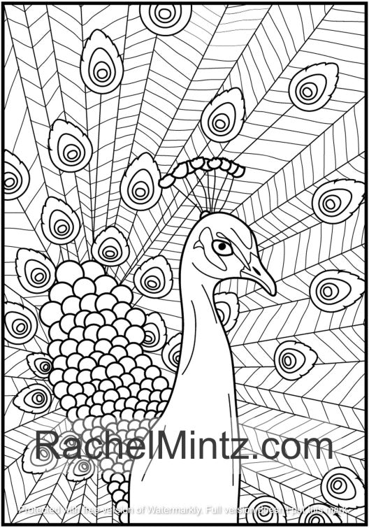 Peacocks - Brilliant Birds Peacock's Train Feathers Coloring (PDF Book)