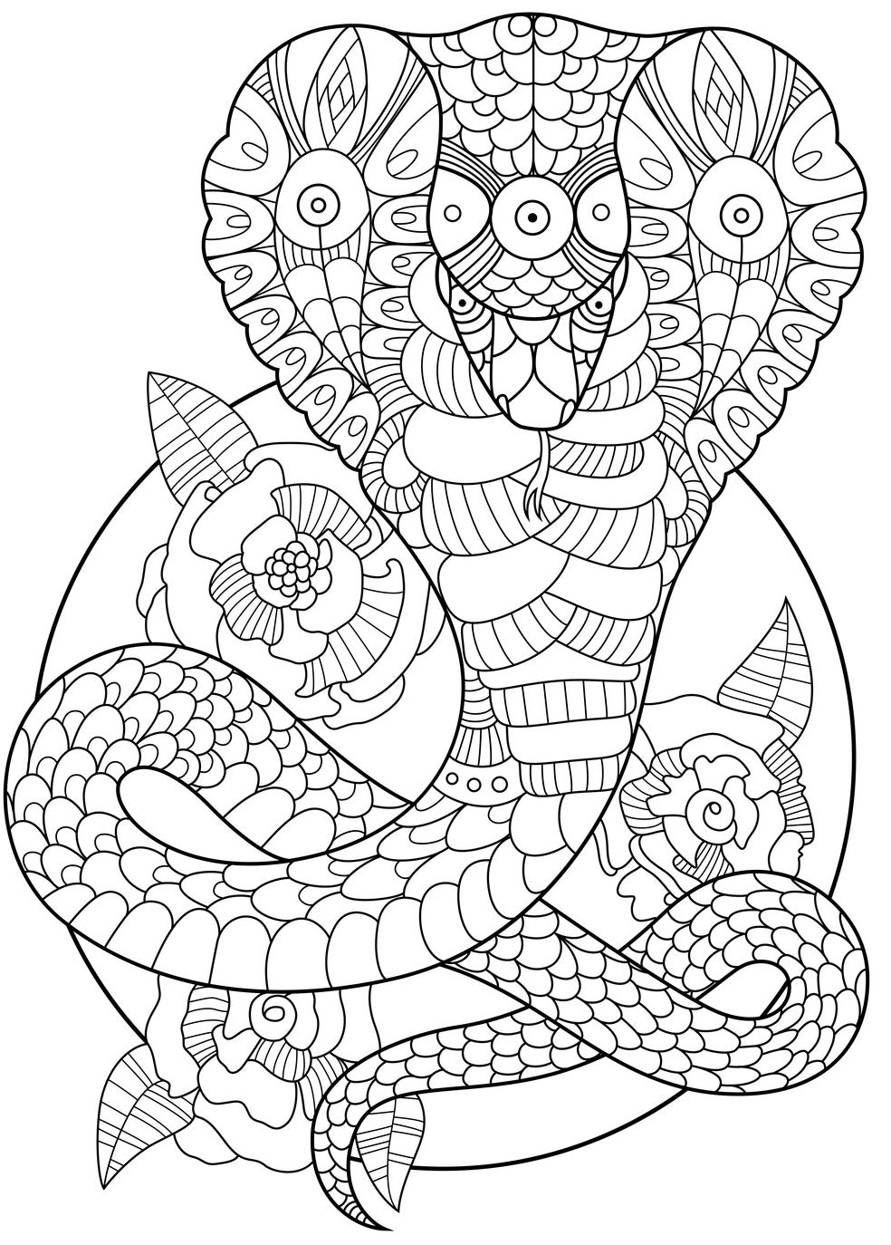 Ssssnakes - Snakes Coloring (PDF Book) With Reptiles – Rachel Mintz Coloring Books ssssnakes-snakes-coloring-pdf-book-with-reptiles-rachel-mintz-coloring-books