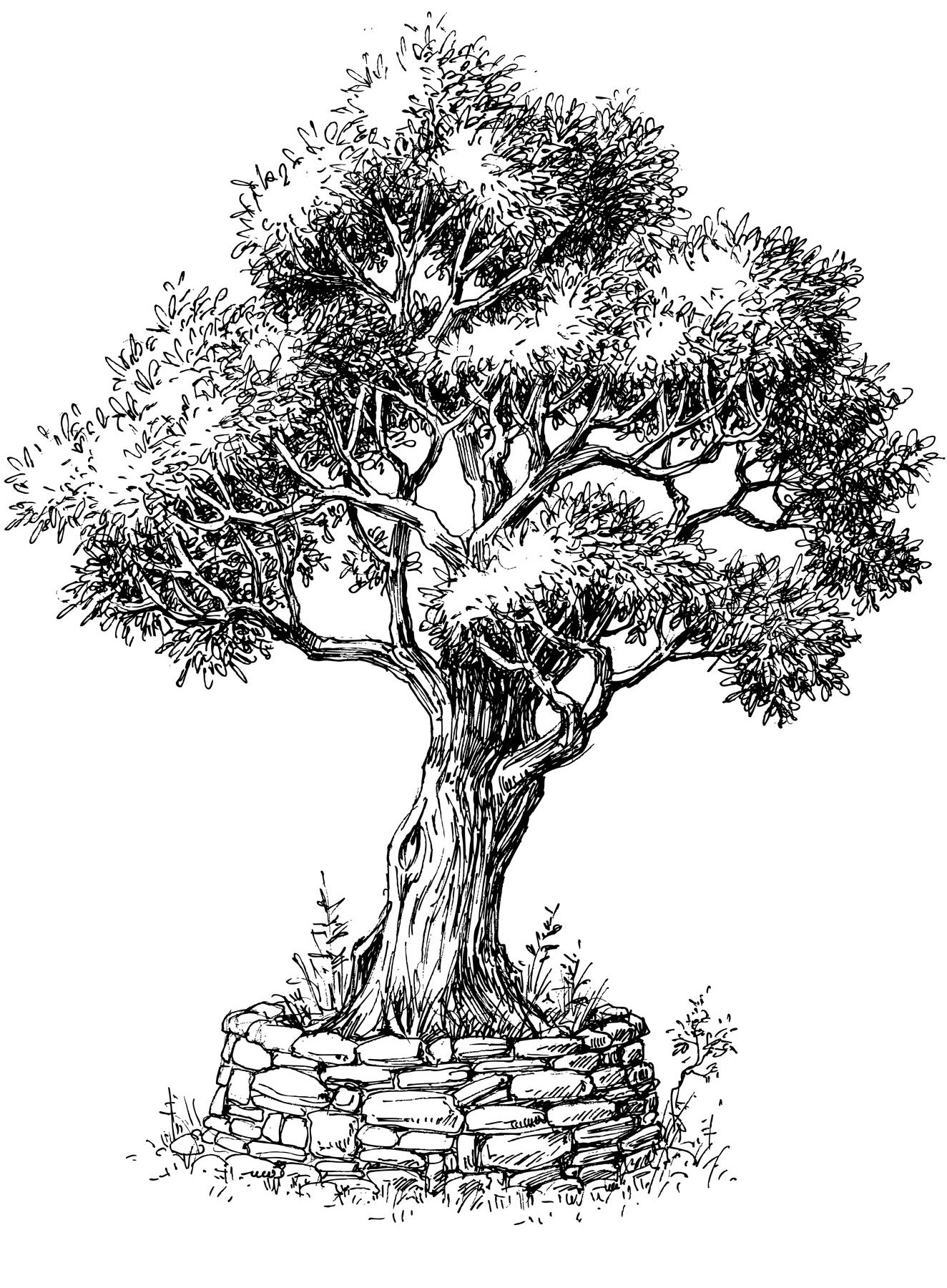 Trees - Forests, Woods & Lonely Tree Landscapes, 44 Artist's Drawings PDF Coloring Book