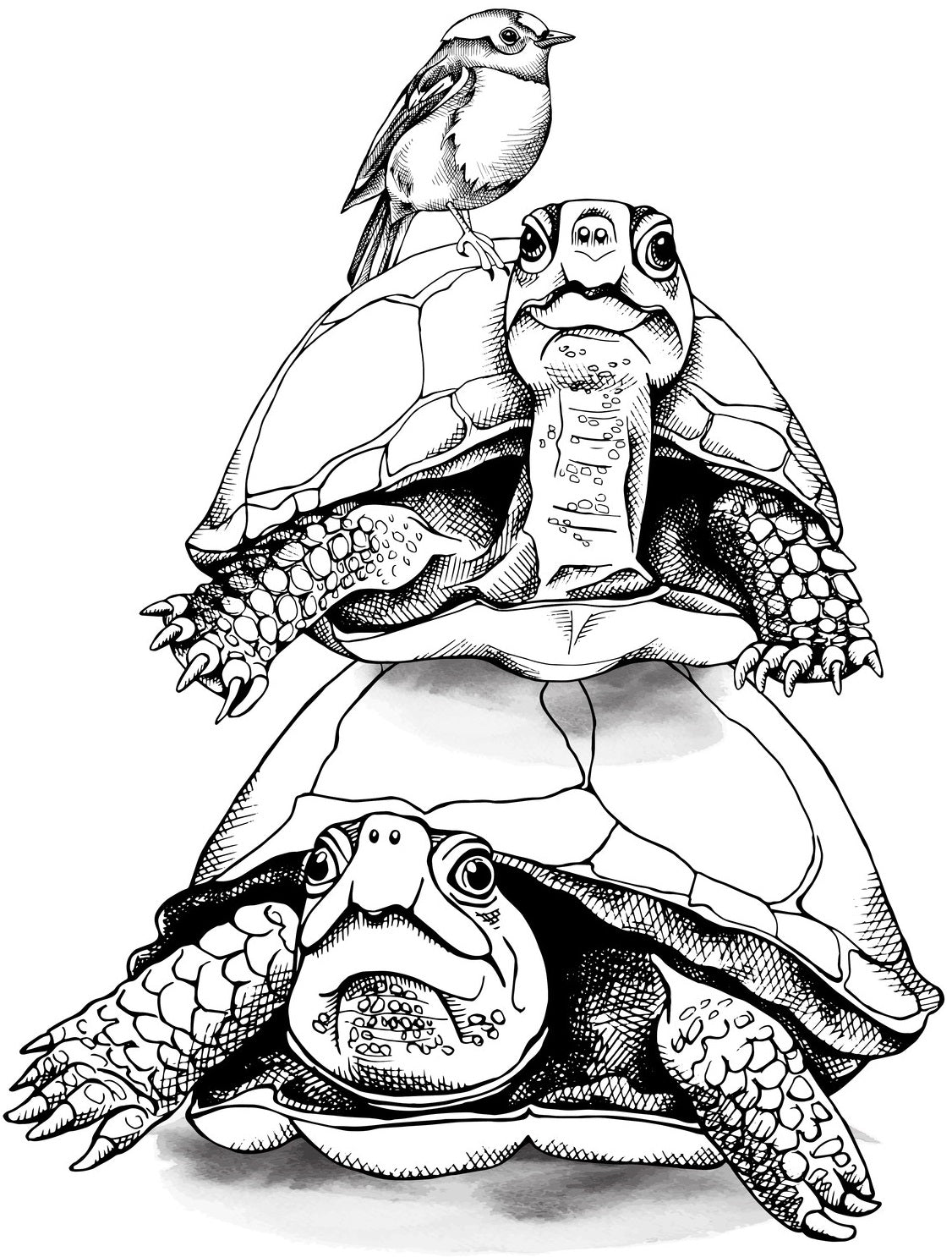 Turtles - Relaxing Coloring (PDF Book) With Tortoises and Sea Turtles
