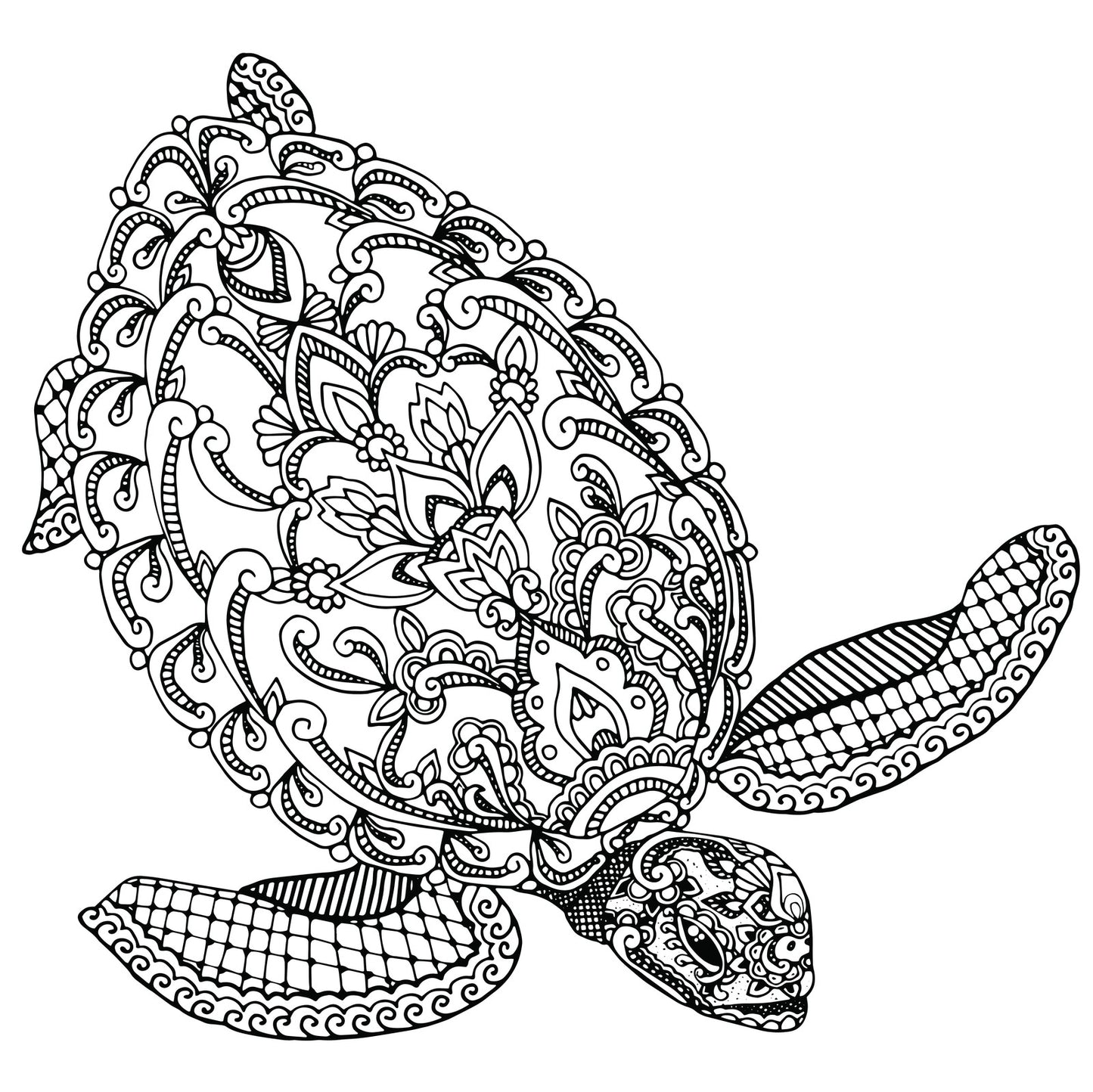 Turtles - Relaxing Coloring (PDF Book) With Tortoises and Sea Turtles