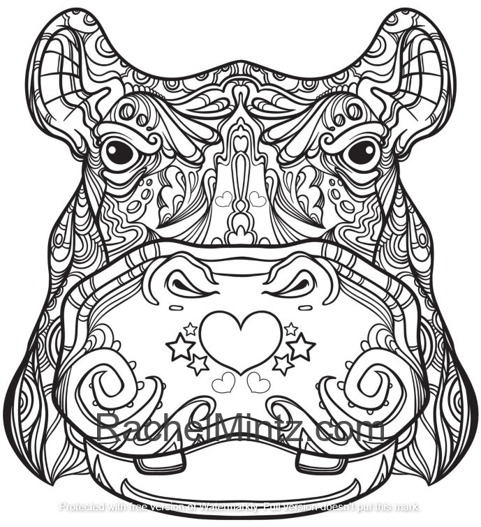 Educational Illustration With African Animals Colorin - vrogue.co