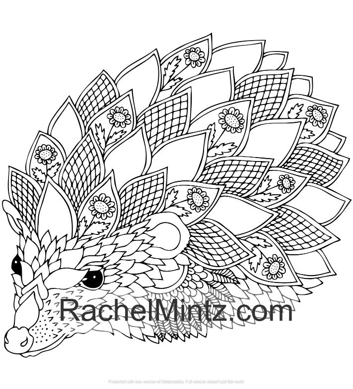 Wildlife Mandala - 30 Decorative Animals Patterns For Adults - Printable Format Book (No Physical Book Will Be Sent)